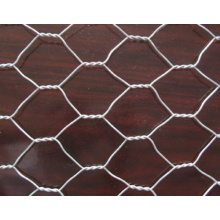 High Quality Hexagonal Netting/Chicken Mesh